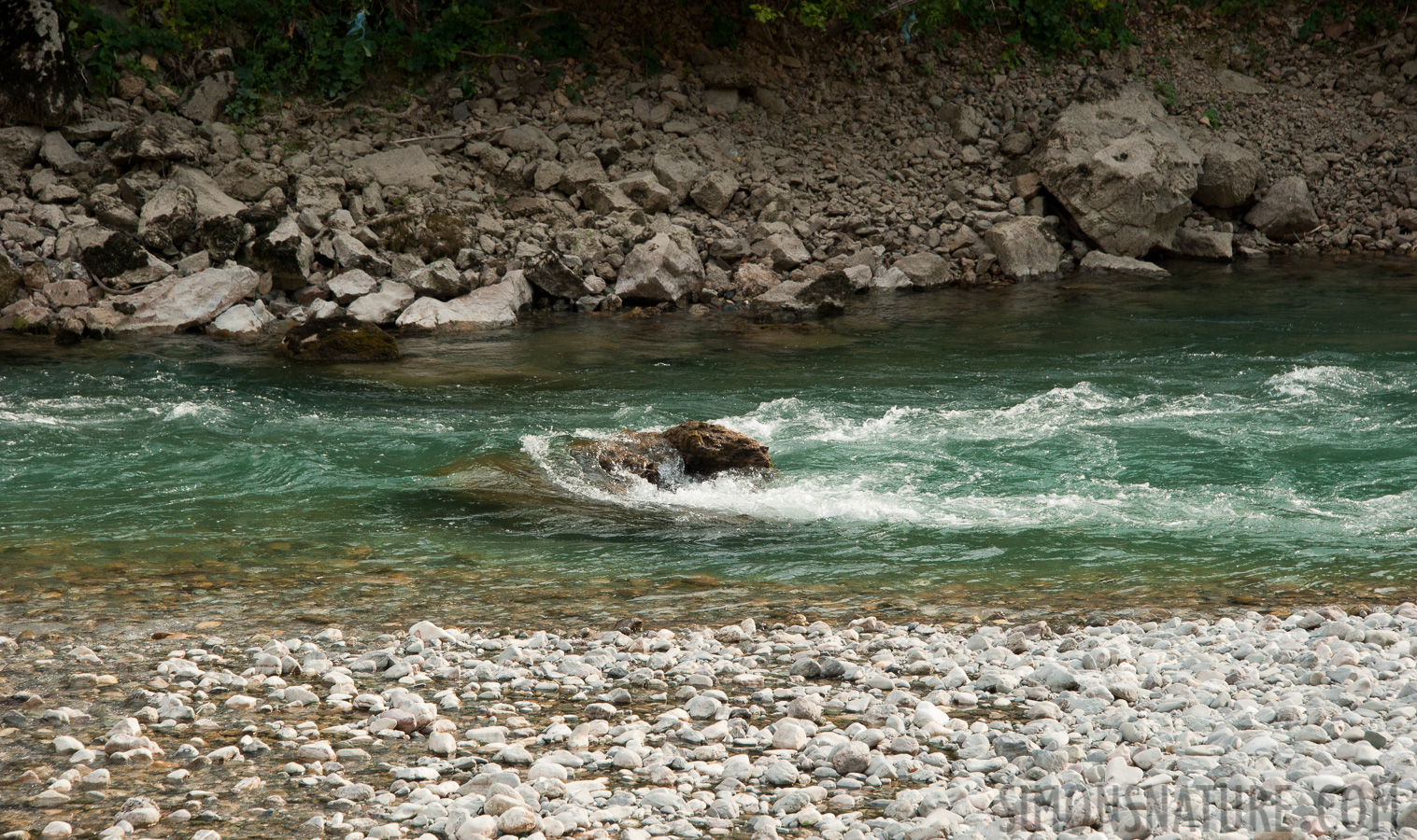 Albania -  [180 mm, 1/500 sec at f / 8.0, ISO 800]